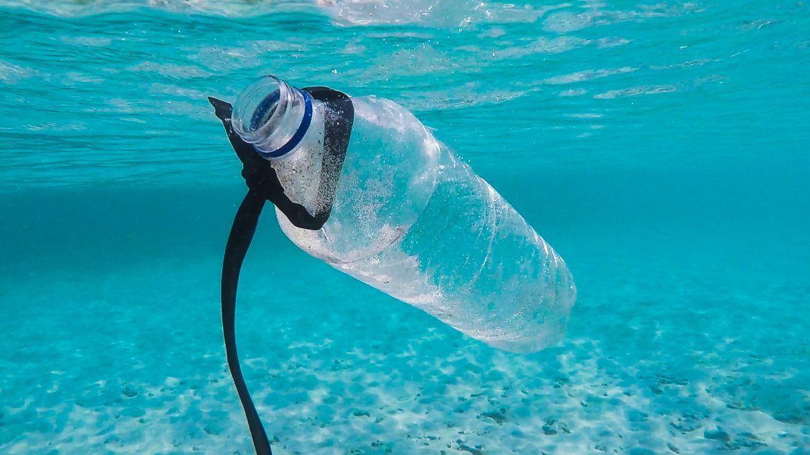 Bottle in ocean which can make recycled plastic furniture